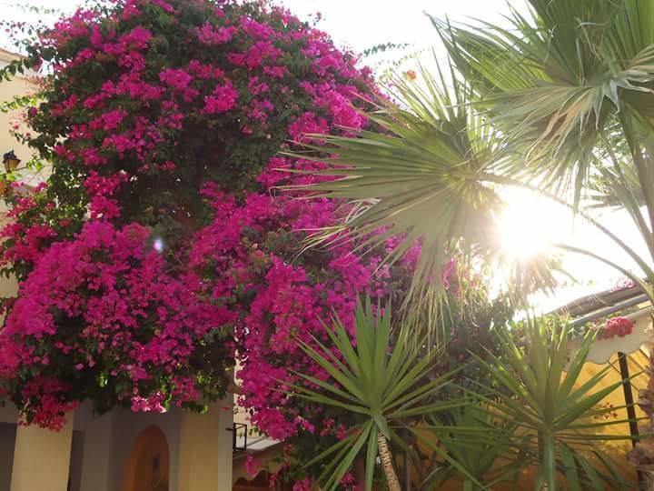 Отель Sweetmemory Agia Marina  Экстерьер фото
